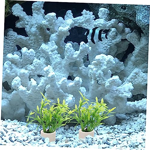 BESPORTBLE 5pcs Aquarium Plant Fixing Holder Underwater Plant Rings for Easy Planting and Decoration Fish Tanks for Beginners and Aquatic Landscapes