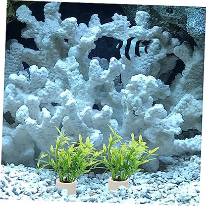 BESPORTBLE 5pcs Aquarium Plant Fixing Holder Underwater Plant Rings for Easy Planting and Decoration Fish Tanks for Beginners and Aquatic Landscapes