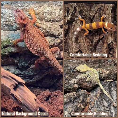 1PCS Thickened Cork Terrarium Bark Background, 11.8"x7.8" Natural Cork Bark for Reptiles Bearded Dragon Climbing Mat Reptile Climbing Wall Terrarium Background Decor for Lizard Gecko Snake