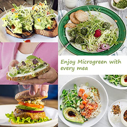 Microgreen Growing Trays, 5" x 5" Sprouting Tray with Humidity Dome, 1.2 mm Small Mesh Holes, BPA Free, Sprouter Kit for Growing Mirco Seeds, Like Broccoli, Alfalfa, Radish, Clover - 4 Pack | Colorful - color: Colorful Base