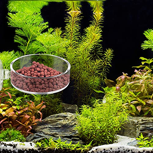 Aquarium Shrimp Feeder Dish Round Fish Tank Feeder Bowls Clear Aquarium Feeding Cup with Suction Cup - color: Clear-Round