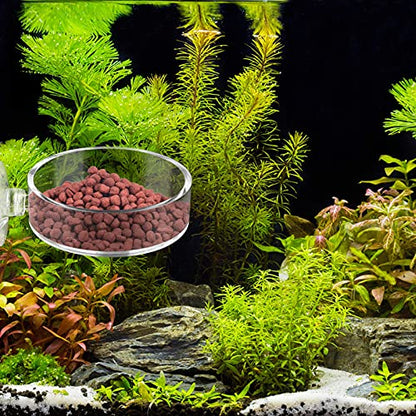 Aquarium Shrimp Feeder Dish Round Fish Tank Feeder Bowls Clear Aquarium Feeding Cup with Suction Cup - color: Clear-Round