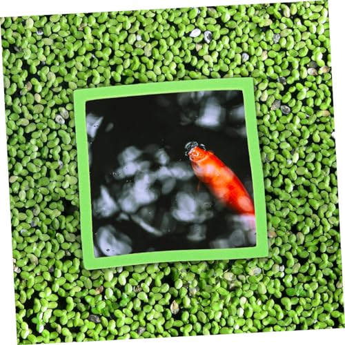 MERRYHAPY 5pcs Floating Plant for Aquariums Holders for of Aquatic Plants Easy Feeding for Fish Tanks