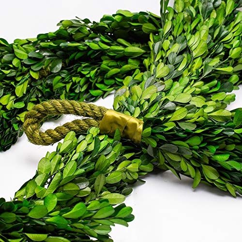 Richland Preserved Boxwood Garland 70" - color: Green, size: 70''