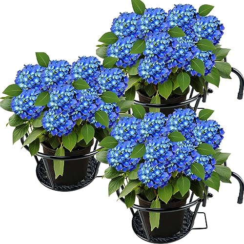 Iron Art Metal Railing Flower Pot Hanging Basket for Indoor Pot Holder Hanger 3 Pack Outdoor Plants Perfect for Porches and Patio Decor (Black)