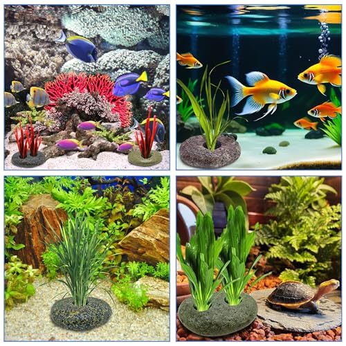 4PCS 0.8" Holes Natural River Stone Plant Weights for Aquarium，Pebble Aquatic Plants Fixed Ring for Aquatic Plants，Unique Shape & Size Decorative River Rock for Landscape Plant(