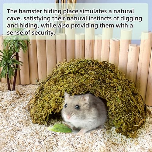 2Pcs Hamster Hideout, Hamster House, Natural Mossy Coconut Hut, Pet Hiding House, Small Animal Cage Accessories for Mouse Mice Rat Guinea Pigs Reptiles - size: 2 PCS