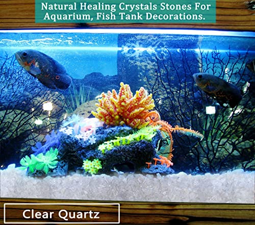Natural Clear Quartz Crystal Rocks Chips Vase Filler Rocks for Succulent Plant Small Fish Tank Aquarium Gravel Decorative Pebbles Stones(200 gram)