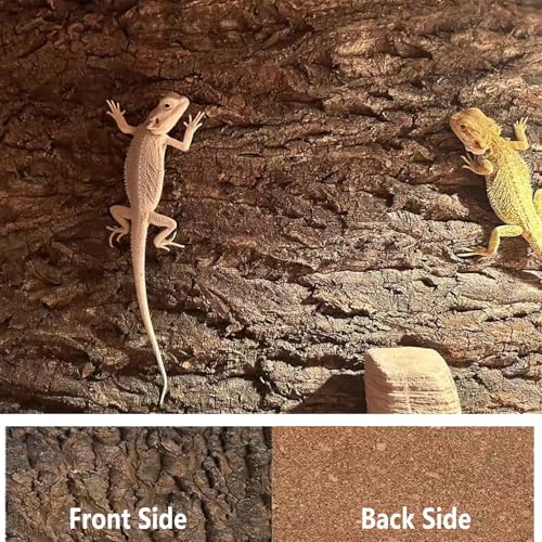 1PCS Thickened Cork Terrarium Bark Background, 11.8"x7.8" Natural Cork Bark for Reptiles Bearded Dragon Climbing Mat Reptile Climbing Wall Terrarium Background Decor for Lizard Gecko Snake