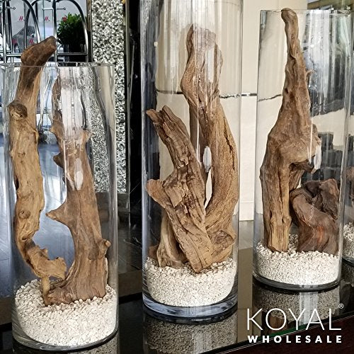 Koyal Wholesale 24" Driftwood Terrarium Decor, Clean California Manzanita Drift Wood Reptile Decor, Driftwood Decor for Home, Desert Reptile Supplies