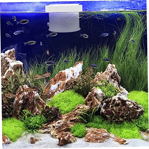 VANZACK Floating Fish Isolation Box Acrylic Fish Breeding Container for Small Aquariums Durable Transparent Hatchery with Water Permeable Design for Fry