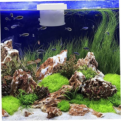VANZACK Floating Fish Isolation Box Acrylic Fish Breeding Container for Small Aquariums Durable Transparent Hatchery with Water Permeable Design for Fry