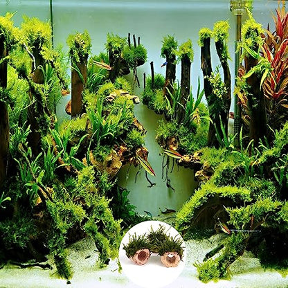 20 Pcs Aquatic Water Plant Fixed Rings, Aquarium Landscape Ceramic Pottery Plant Pot Gravity Ring for Fish Tank Accessories