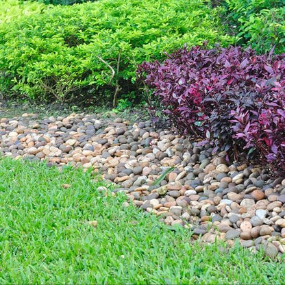 5lbs River Rocks for Landscaping, 2"-3" Decorative Garden Stones for Plants, Flower Pots, Vase, Walkways, Yard, Natural Rocks for Aquarium, Fish Tank - size: 2-3 Inch