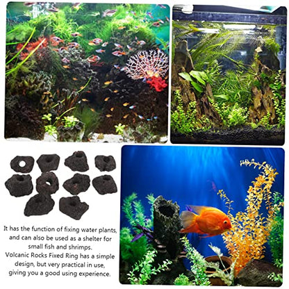 COLLBATH 10pcs Volcanic Plant Fixing Rings for Fish Tank Durable Aquarium Decoration Base for Water Plants Flexible and Easy to Clean for Aquariums