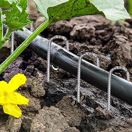 Rebar Stakes 12 Inch, Tent Stakes Heavy Duty Galvanized J Shaped 50 Pack Landscape Fabric Staples for Garden Weed Barrier Fabric Dog Fence Inflatable Camping Tents Artificial Turf - color: Silver-8mm, size: 50pcs