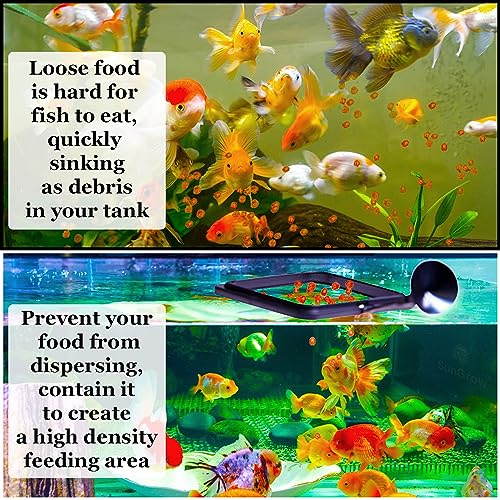 SunGrow Fish Food Feeding Ring, Stop Water Turbulence from Washing Food & Floating Plants into Filtration System, Suitable for Flakes & Floating Fish Pellets (3 Pieces)