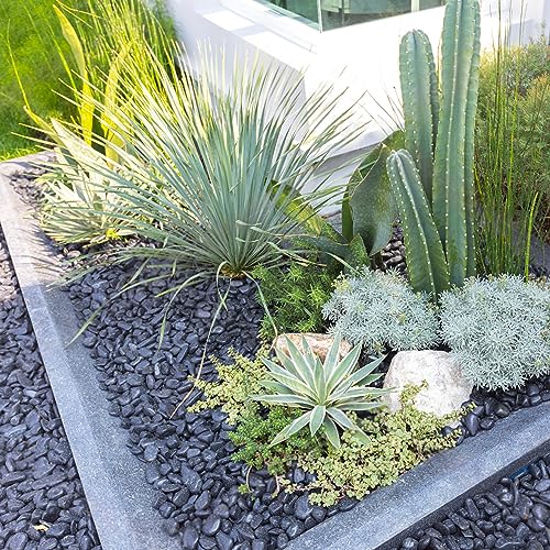 5 lbs Black Pebbles for Indoor Plants, 1-2 Inch Decorative Black River Rocks for Plants, Garden Landscaping, Vase, Yard Walkway, Paving and Outdoor Decorative Stones