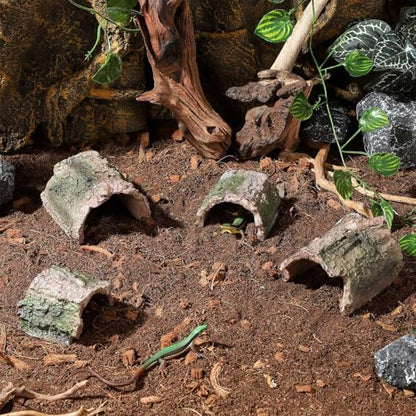IBWell 2 Pack Aquarium Hideout Reptile Cave Betta Log Resin Hollow Tree Trunk Ornament Terrarium Tank Decoration for Fish Turtle Small Reptile - Short