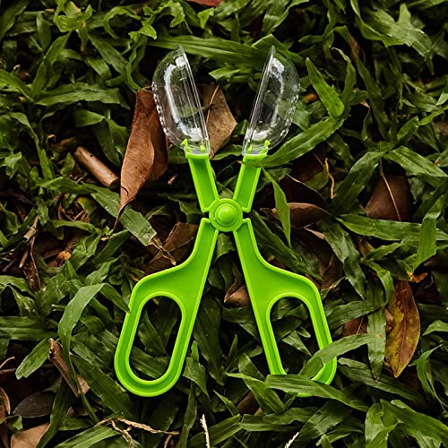 Reptile Feeding Clamp Reptile Poop Scoop Cage Fish Tank Cleaning Tools Green Feeding Tool Feeding Clamp Litter Clamp for Gecko Lizard Bearded Dragon