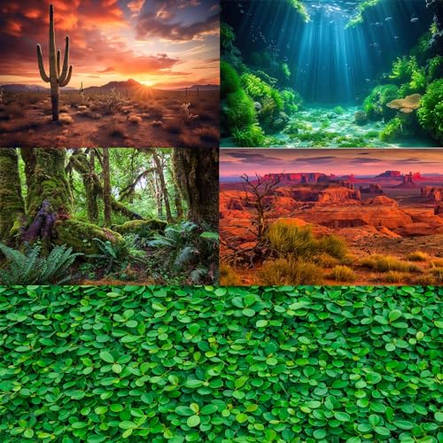 Desert Reptile Tank Background Blue Sky Rock Boulders Terrarium Background Desert Landscape Fish Terrarium Backgrounds Rocky Bush Reptile Enclosure Dragon BeardedTank Backdrop 48x24in