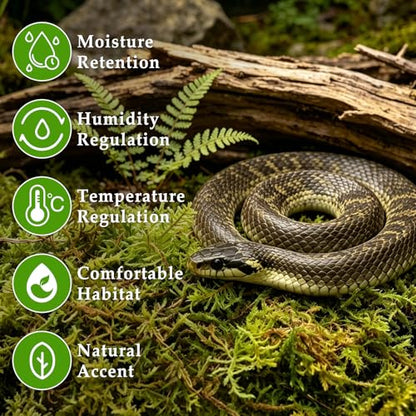 9OZ Natural Sphagnum Moss for Reptiles- 14QT Green Moss for Terrarium Plants Long Fiber Reptile Moss for Leopard Gecko Snake Hamsters Tortoises Frogs Lizards Salamanders