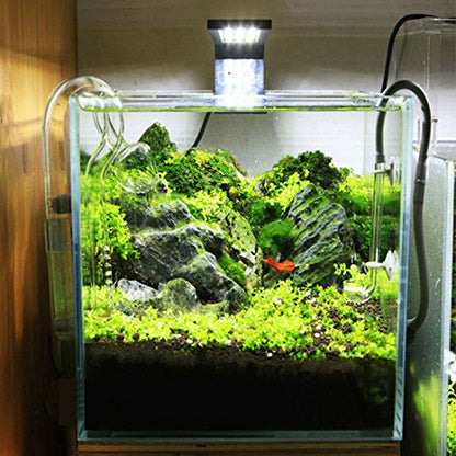 24 LED Aquarium Planted Light 10W Full Spectrum Plant Grow Clip Lamp Fish Tank Lighting White and Blue LED (Black)