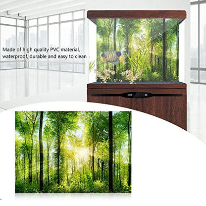 Dioche 3D Effect Forest Terrarium Background, Adhesive Forest Poster for Aquarium Fish Decoration, Foggy Rainforest Aquarium Background, PVC Background (61 * 41cm)