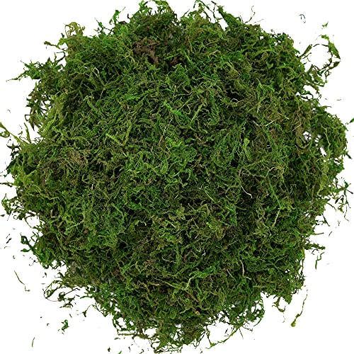 Artificial Moss, 16OZ Fake Moss for Crafts Table Centerpieces Fairy Garden Wedding Party Decor, Faux Grass for Potted Plants, 455gr (Fresh Green)