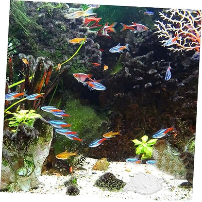POPETPOP Fish Tank Feeding Bowl Leaf Shape Shrimp Dish Aquarium Feeding Tray Cup for Shop Use Convenient Shrimp Food Feeder