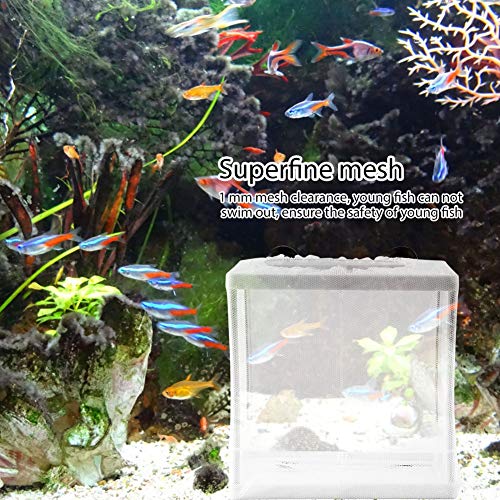 Fish, Breeder, Easy Installation, Suction Cup Design, Isolation Fish Breeding Net Suitable for Fish Breeding
