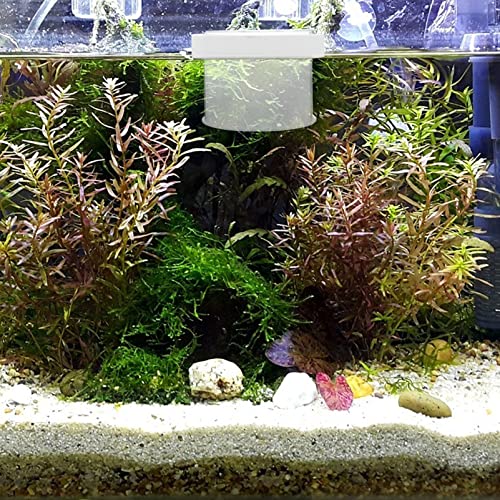 Floating Fish Box Acrylic Aquarium Fish Breeding Box Guppies Hatching Incubator for Hatchery 10X10X8CM