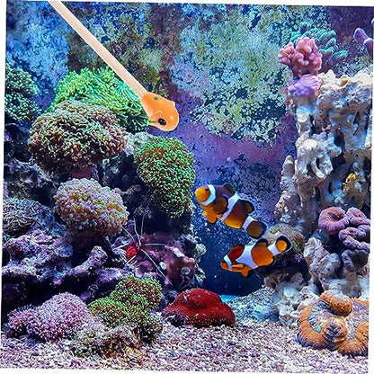 Safe Wooden Betta Fish Training Stick Compact Aquarium Toy for Betta Fish Versatile Accessory