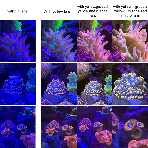Coral Lens Set, Smartphone Reef Lens Kits, 1 Dust Case, 2 Clips, 8 Lenses: Yellow, Orange, Gradual Yellow Orange Pink, Star6, CPL, Macro