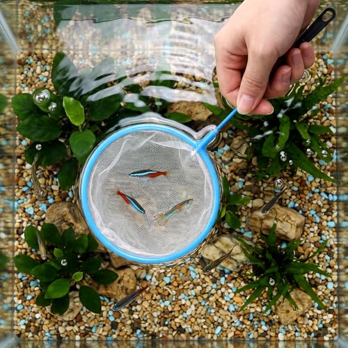 12 Pcs Aquarium Fish Net Cleaner Fish Tank Small Aquarium Nets Mini Cleaner Nets High Density Fishes Fine Tank Filter Net for All Fishes (Blue)
