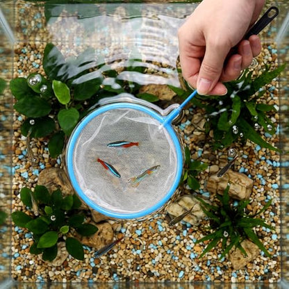 12 Pcs Aquarium Fish Net Cleaner Fish Tank Small Aquarium Nets Mini Cleaner Nets High Density Fishes Fine Tank Filter Net for All Fishes (Blue)