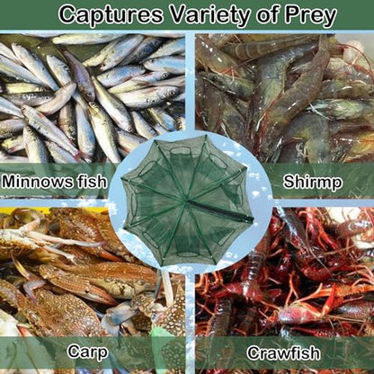 Collapsible Fishing Bait Minnow Trap - Durable Fish Trap Net for Minnow, Crab, Crayfish, Shrimp Fish Trap Net - Designed for Minnows and Beyond