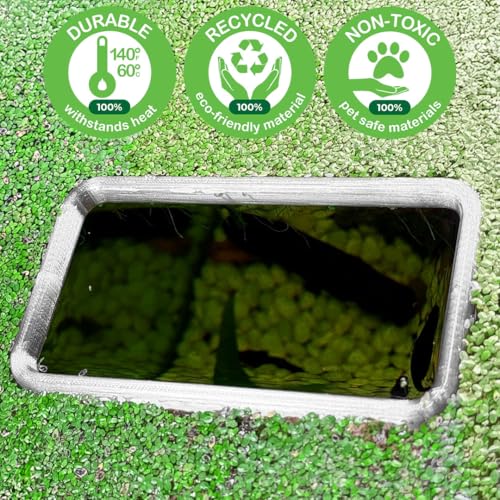 Fish Feeding Portals for Betta & Aquariums | Floating Food Rings & Breathing Windows (Rectangle) (Clear, Bundle)