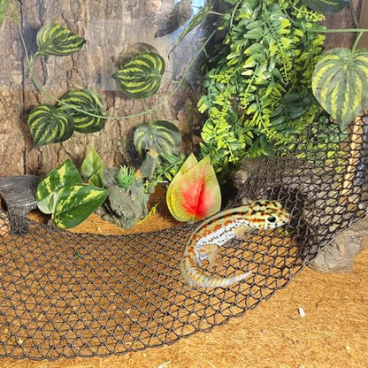 Bearded Dragon Hammock 35 x 8 Inch Lizard Climbing Net Collapsible Reptile Climbing Mesh Bridge Tank Accessories for Gecko Snake Hermit Crab Chameleon (1 Pcs) - color: Black