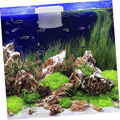 Healifty Floating Acrylic Fish Breeding Box with Removable Cover and Water Permeable Bottom Fish Separator for Aquarium Hatchery Suitable for Fry Incubation
