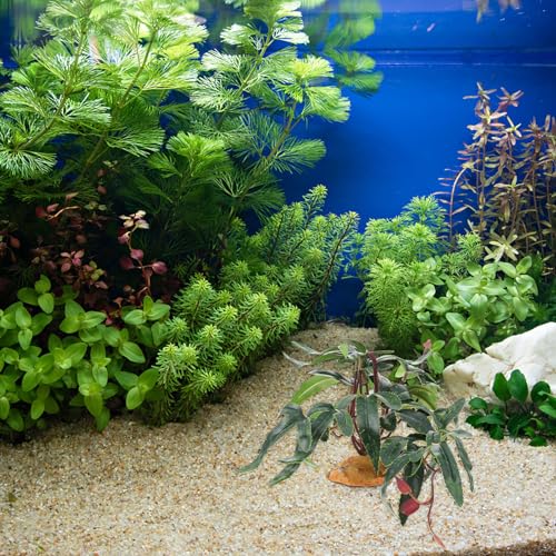 balacoo Simulated Plants Reptile Box Ornament Aquarium Landscape Artificial Plant Decor for Terrarium Habitat Reptile Pet Case Accessories