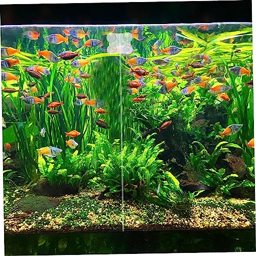 2pcs Fish Tank Isolation Clips Transparent Acrylic Divider Clamps Cups Easy Installation for Fish Separation Aquarium Divider