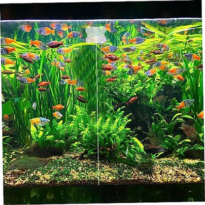 2pcs Fish Tank Isolation Clips Transparent Acrylic Divider Clamps Cups Easy Installation for Fish Separation Aquarium Divider