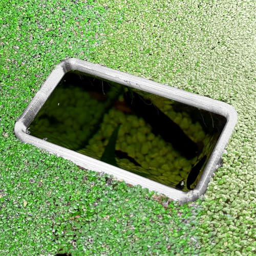 Fish Feeding Portals for Betta & Aquariums | Floating Food Rings & Breathing Windows (Rectangle) (Clear, Bundle)