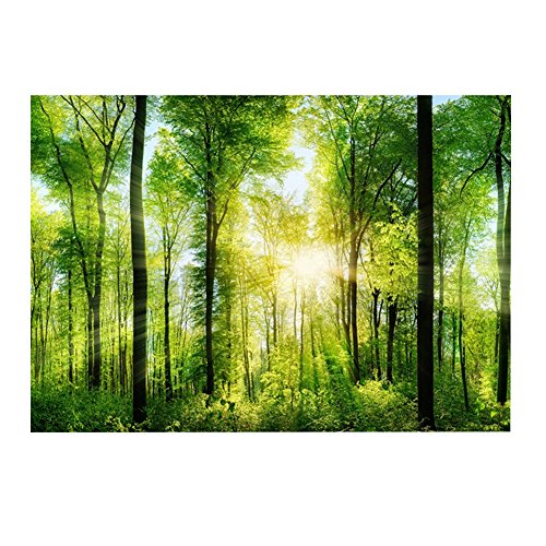 3D Effect Adhesive Forest Poster for Aquarium Fish Tank Decoration, PVC Background Sticker, Realistic Underwater Landscape with Self - Adhesive Material for Freshwater o (61 * 41cm) - size: 61*41cm