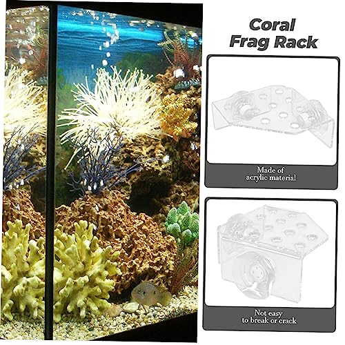 Toddmomy Coral Rack Stand for Fish Tank Acrylic Coral Holder for Aquatic Displays Wear-Resistant Versatile Design Aquarium Supply