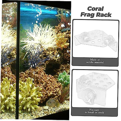 Toddmomy Coral Rack Stand for Fish Tank Acrylic Coral Holder for Aquatic Displays Wear-Resistant Versatile Design Aquarium Supply