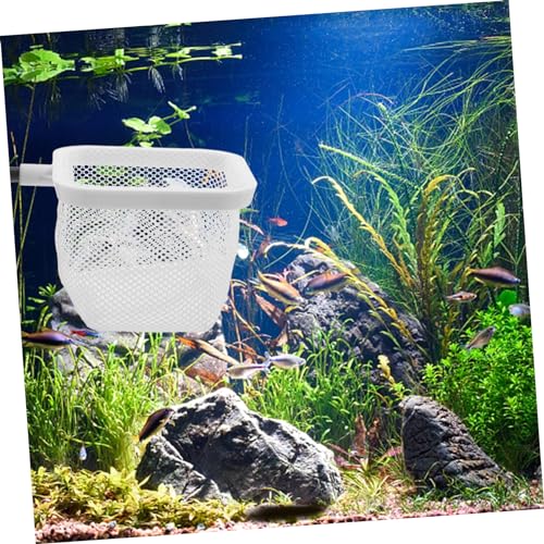BESPORTBLE Fish Tank Isolation Box with Cups Versatile Aquarium Breeder Net for Juvenile Fish Mesh Design Observation Fits Various Tank