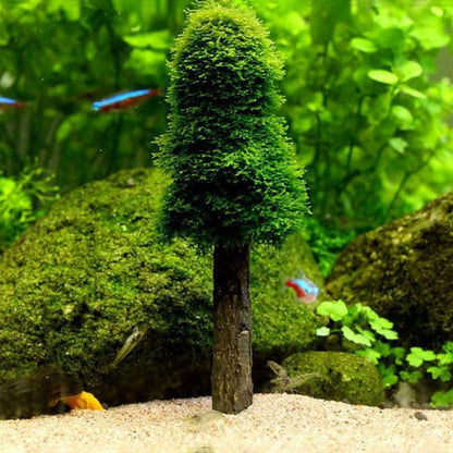 Rulbelok Aquarium Moss Decoration Fish for Tank Holder Creating Your Own Trees Forest Landscape Grow Aquatic Water Holder Aquarium