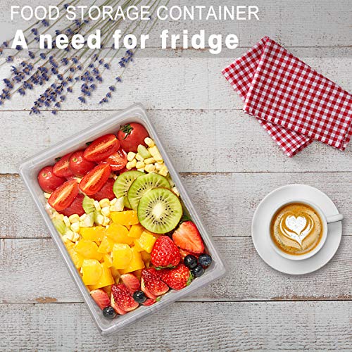 Fridge Produce Saver Containers (3 Pack) - 2.5L Drain Tray Keeps Veggies, Fruits, Lettuce Fresh